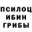 Псилоцибиновые грибы GOLDEN TEACHER Darius S