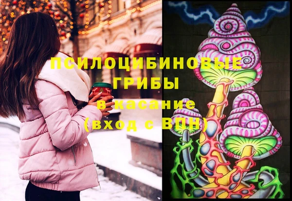 МДМА Ельня