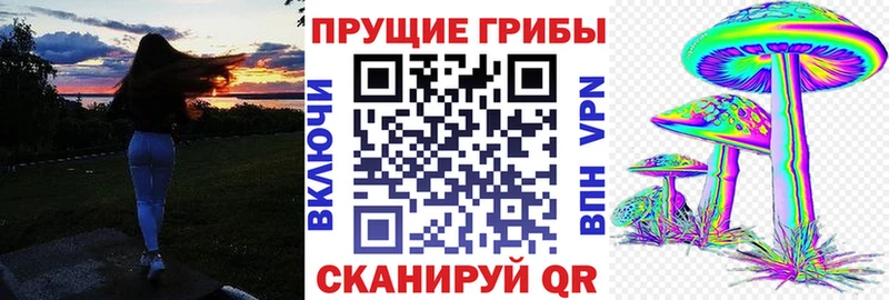 Галлюциногенные грибы Cubensis Карабаш